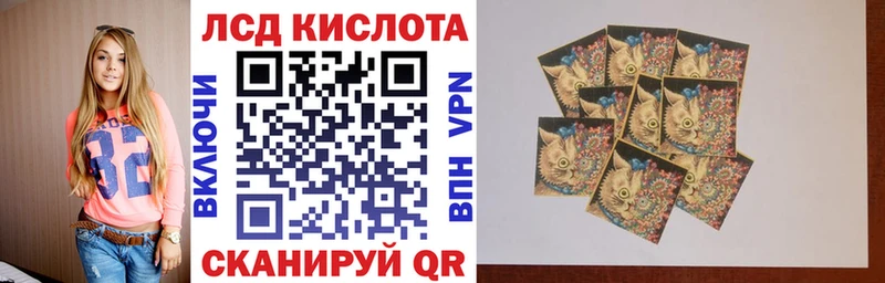площадка формула  Жуковский  Наркотические марки 1500мкг 
